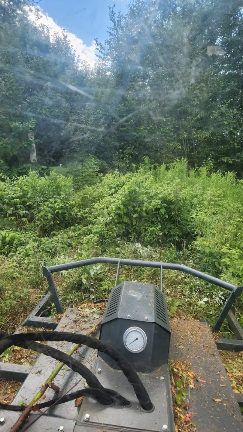 View from the operator's seat clearing thick NH brush during a lot clearing job in the Lakes Region